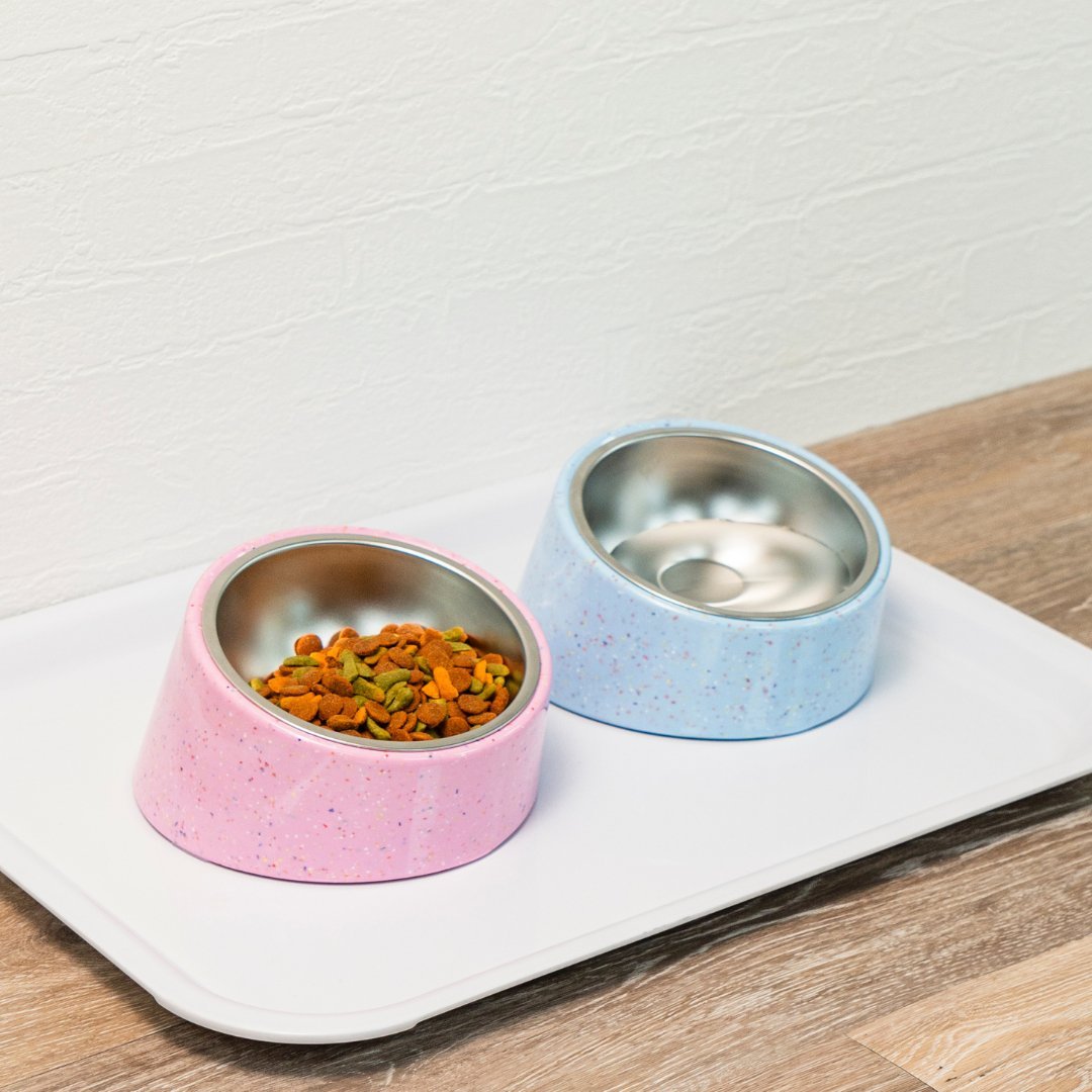 https://www.bzyoo.com/cdn/shop/articles/bzyoo-16oz-tilted-dog-bowl-for-small-dogs-cats-blue-222010_1800x1800_e742ce4f-cee5-437b-8923-f9ef77ead535.jpg?v=1747038552