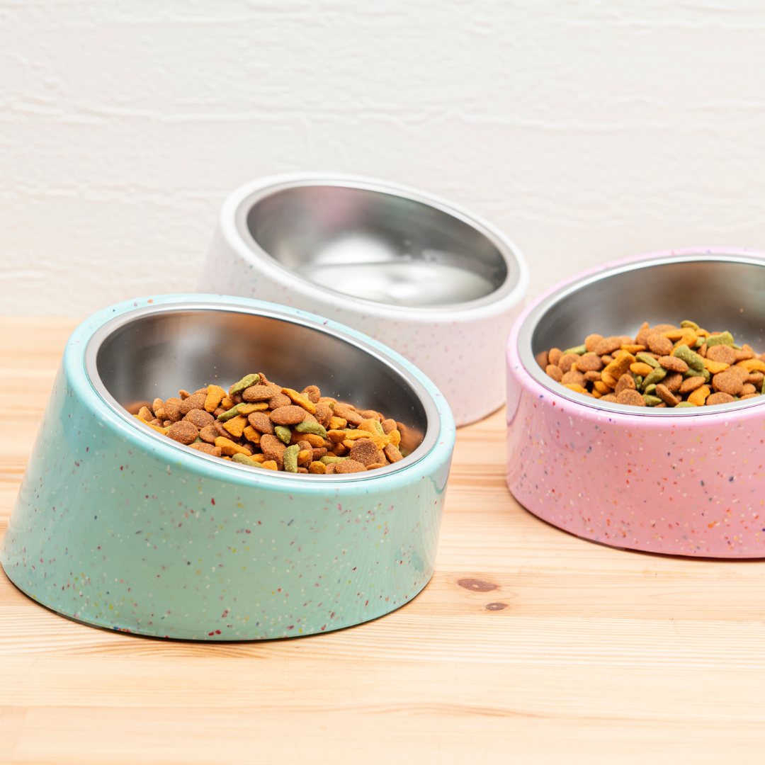 Bzyoo 16oz Tilted Dog Bowl for Small Dogs & Cats - Green