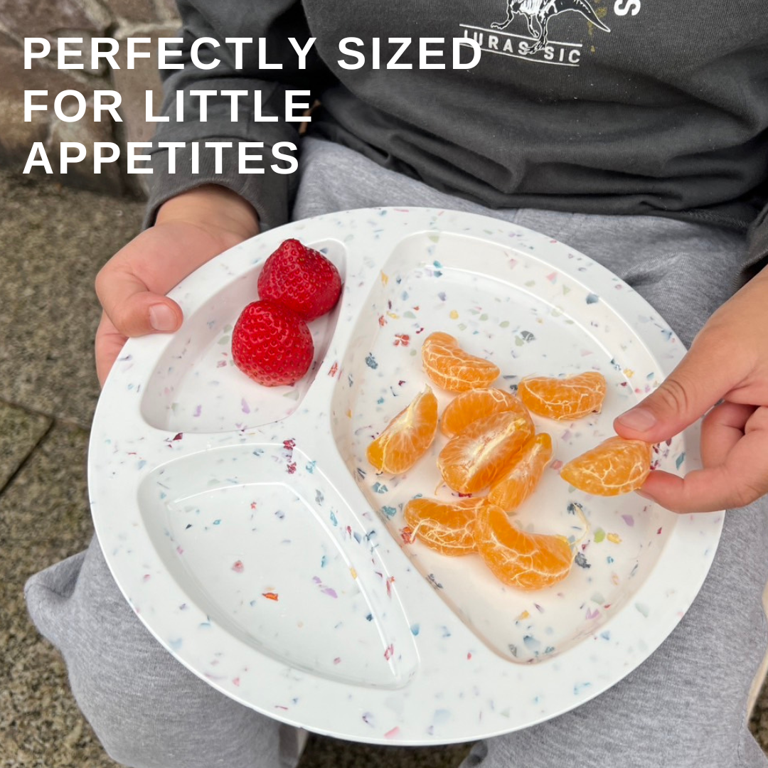 2 PC 9"Confetti Divided BBQ Plate- White