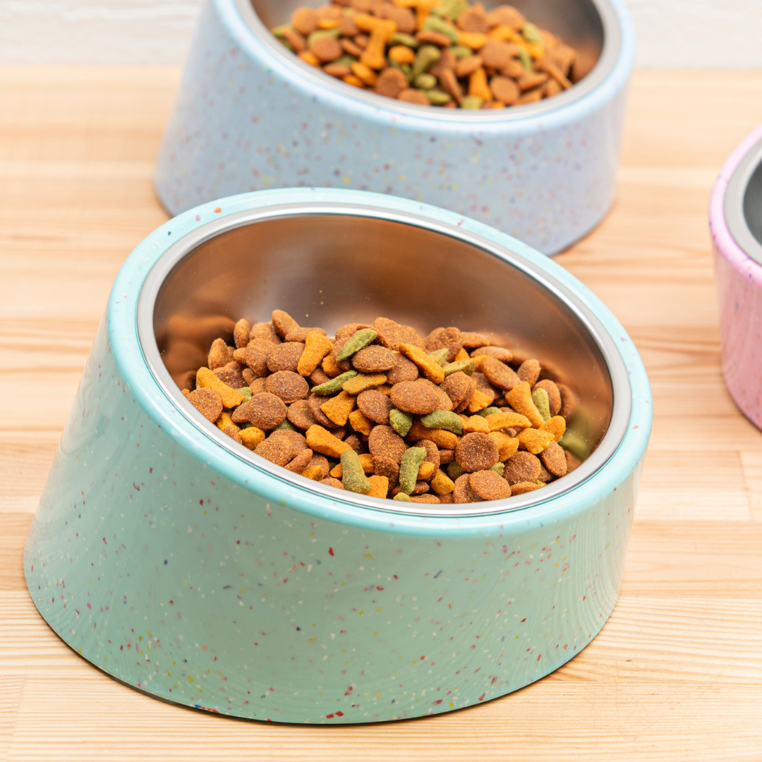 Bzyoo 2 Cup Tilted Dog Bowl with Measuring Scoop for Small Dogs & Cats