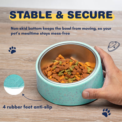 Bzyoo 2 Cup Tilted Dog Bowl with Measuring Scoop for Small Dogs & Cats