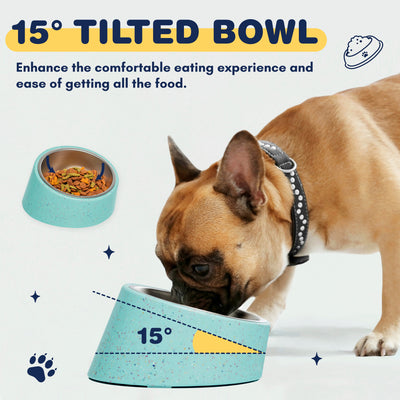Bzyoo 16oz Tilted Dog Bowl for Small Dogs & Cats - Green