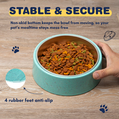 Bzyoo 16oz Tilted Dog Bowl for Small Dogs & Cats - Green