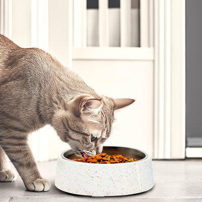 Bzyoo 32oz 4CUP Elevated Dog & Cat Bowl - White